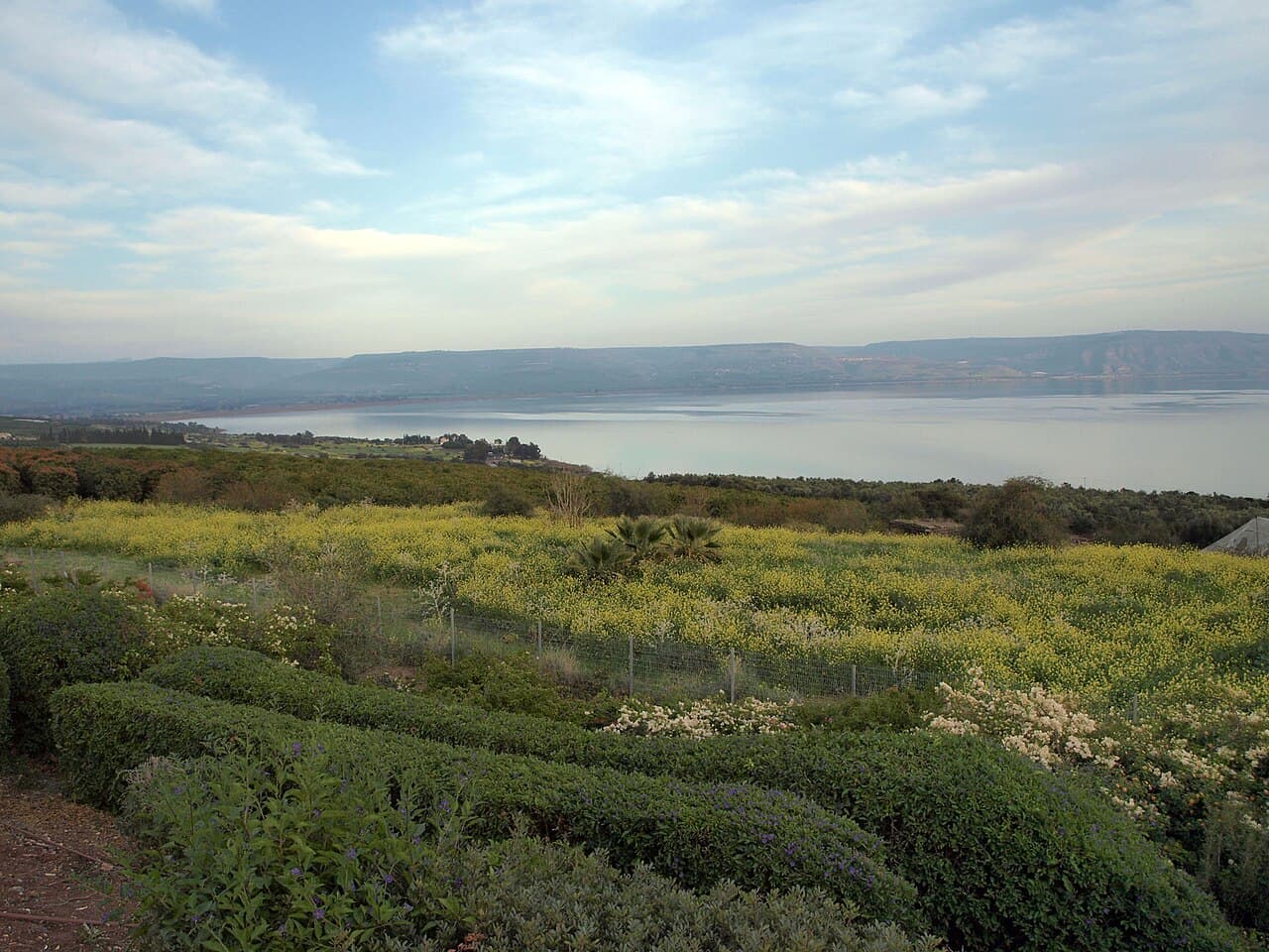 מתחם צימרים, ראש פינה